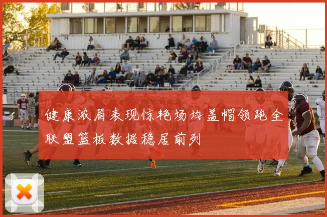 健康浓眉表现惊艳场均盖帽领跑全联盟篮板数据稳居前列